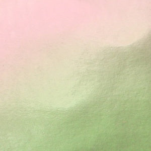 DICRO SLIDE-RED/SILVER (PREMIUM)