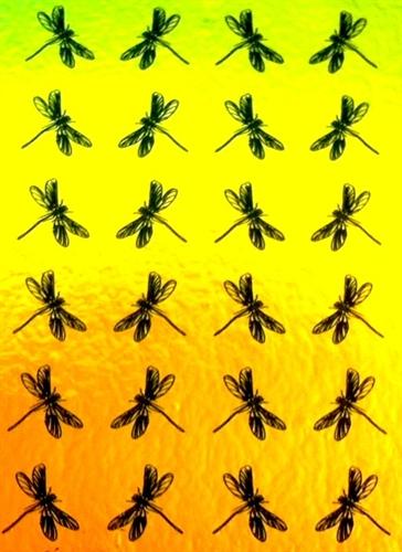 ETCHED-1799-Dragon Fly