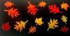 3pc Fall Dicro Slide Pack